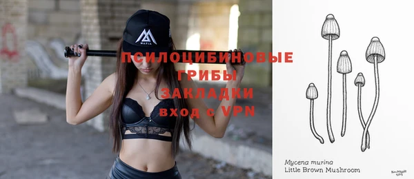 ECSTASY Белоозёрский