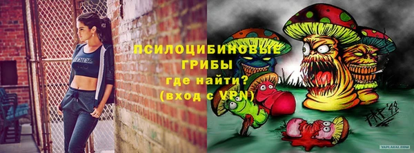 наркотики Белокуриха