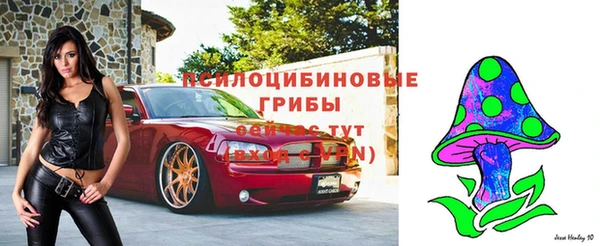 ECSTASY Белоозёрский