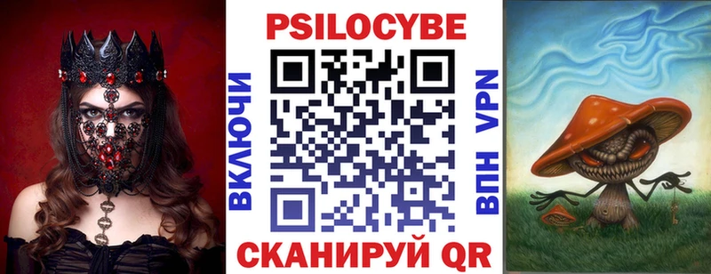 мега зеркало  наркотики  Болхов  Псилоцибиновые грибы мицелий 